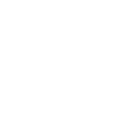 XAE Detailing logo